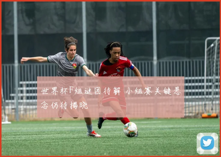 世界杯F组谜团待解 小组赛关键悬念仍待揭晓