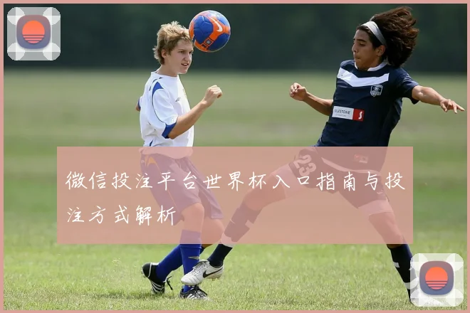 微信投注平台世界杯入口指南与投注方式解析