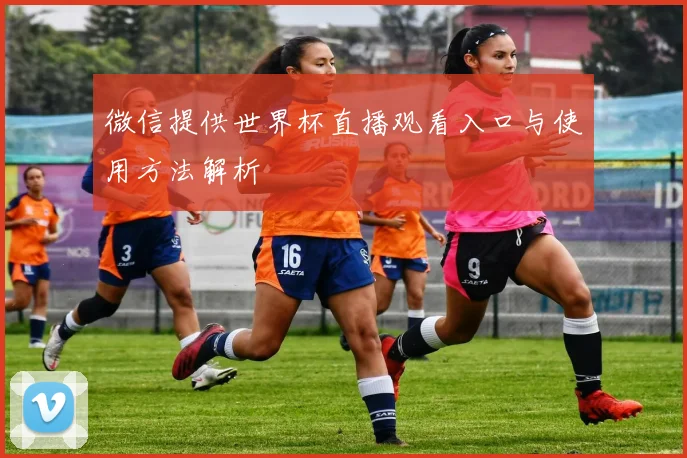 微信提供世界杯直播观看入口与使用方法解析