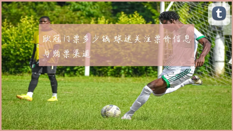 欧冠门票多少钱 球迷关注票价信息与购票渠道